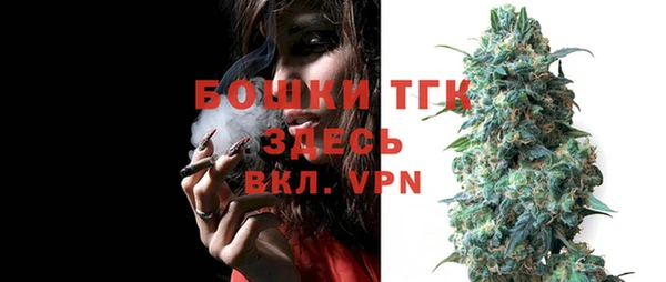 молекула духа Богородицк