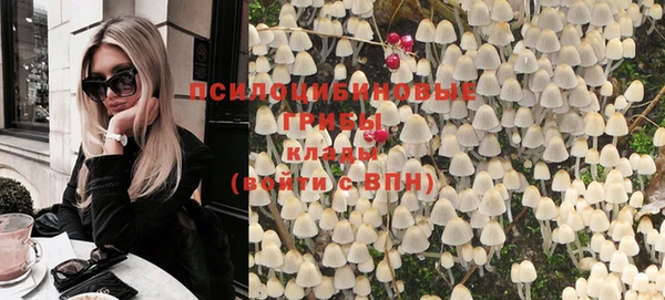 молекула духа Богородицк