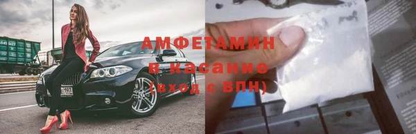 молекула духа Богородицк