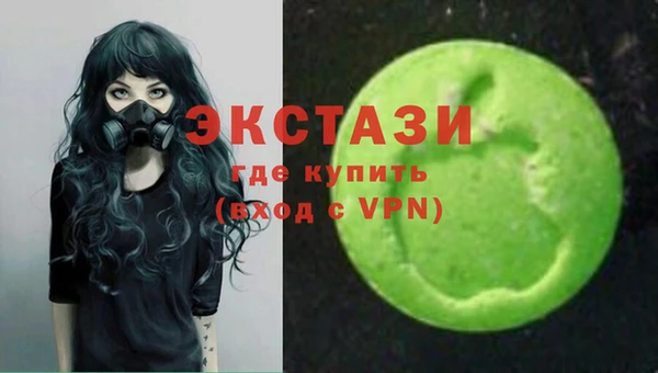 молекула духа Богородицк