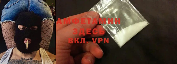 молекула духа Богородицк