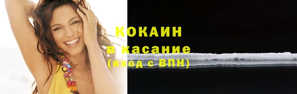 мдпв Богородск