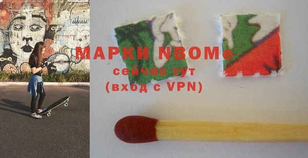 молекула духа Богородицк