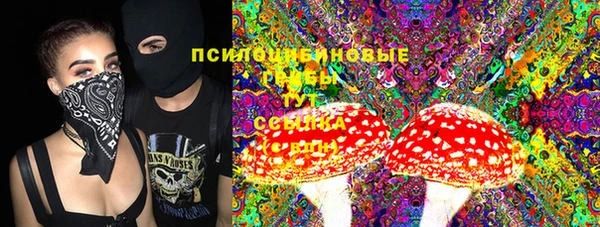 молекула духа Богородицк