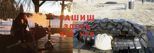 молекула духа Богородицк