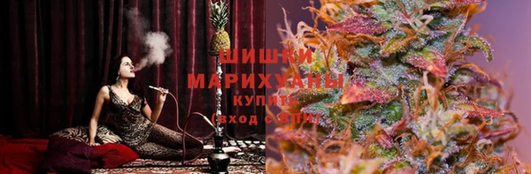 мдпв Богородск