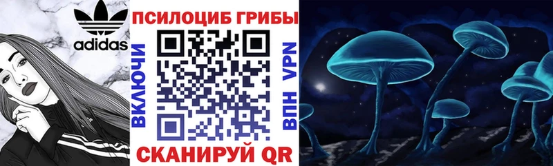 Псилоцибиновые грибы Cubensis  купить  сайты  Краснокаменск 